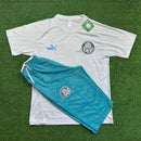 Conjunto de treino Palmeiras l Camisa + Meia Calça