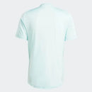 Camisa de treino Cruzeiro 24/25